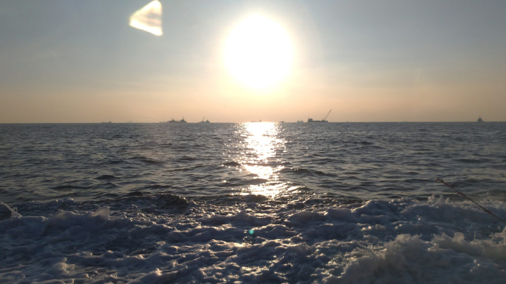 今年最後のアジ釣り