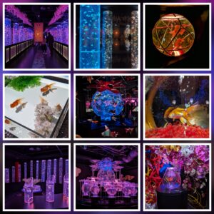 アートアクアリウム美術館GINZA