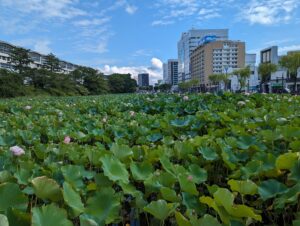 千秋公園