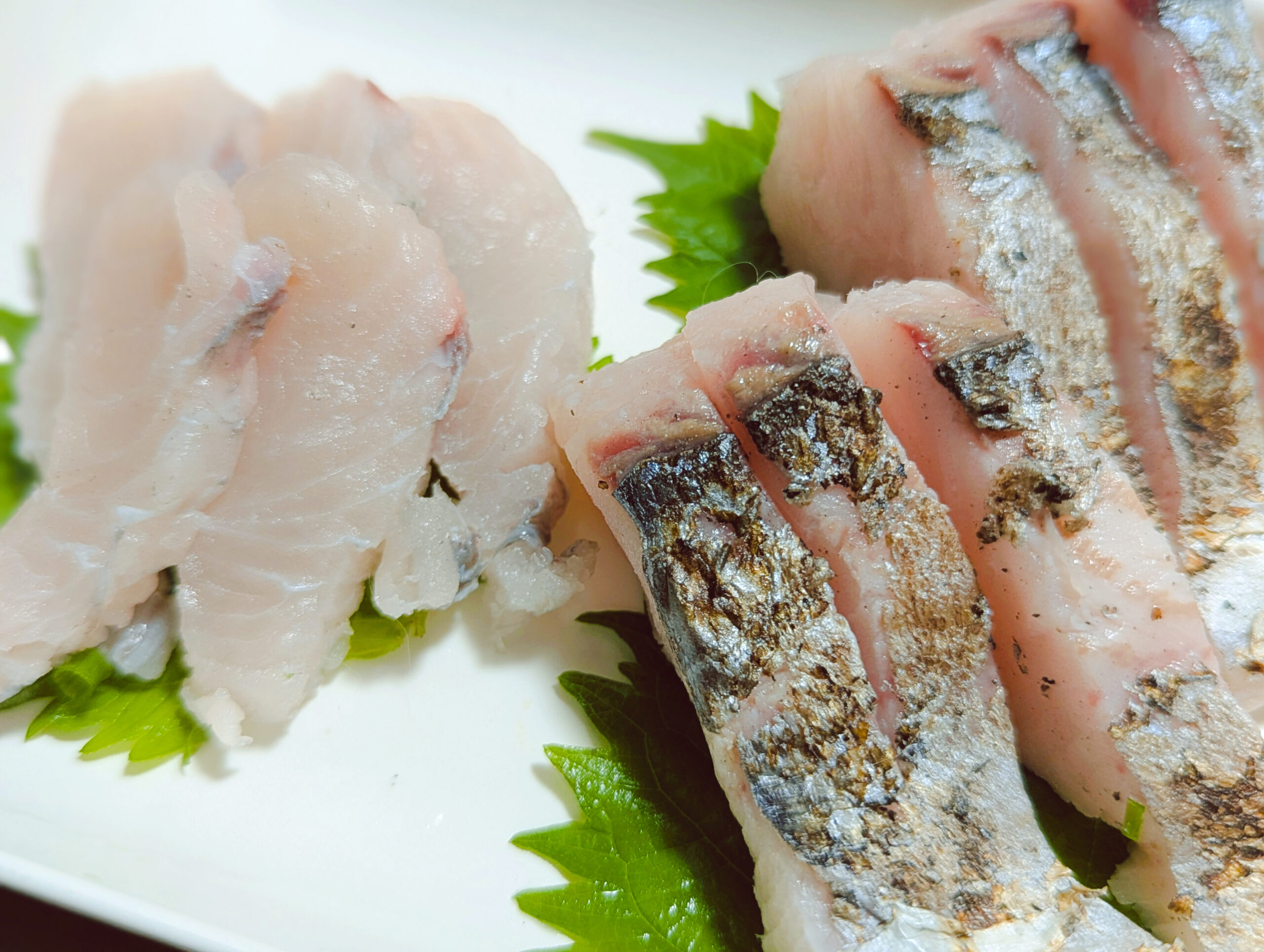 サワラの刺し身と炙り