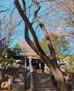 初詣