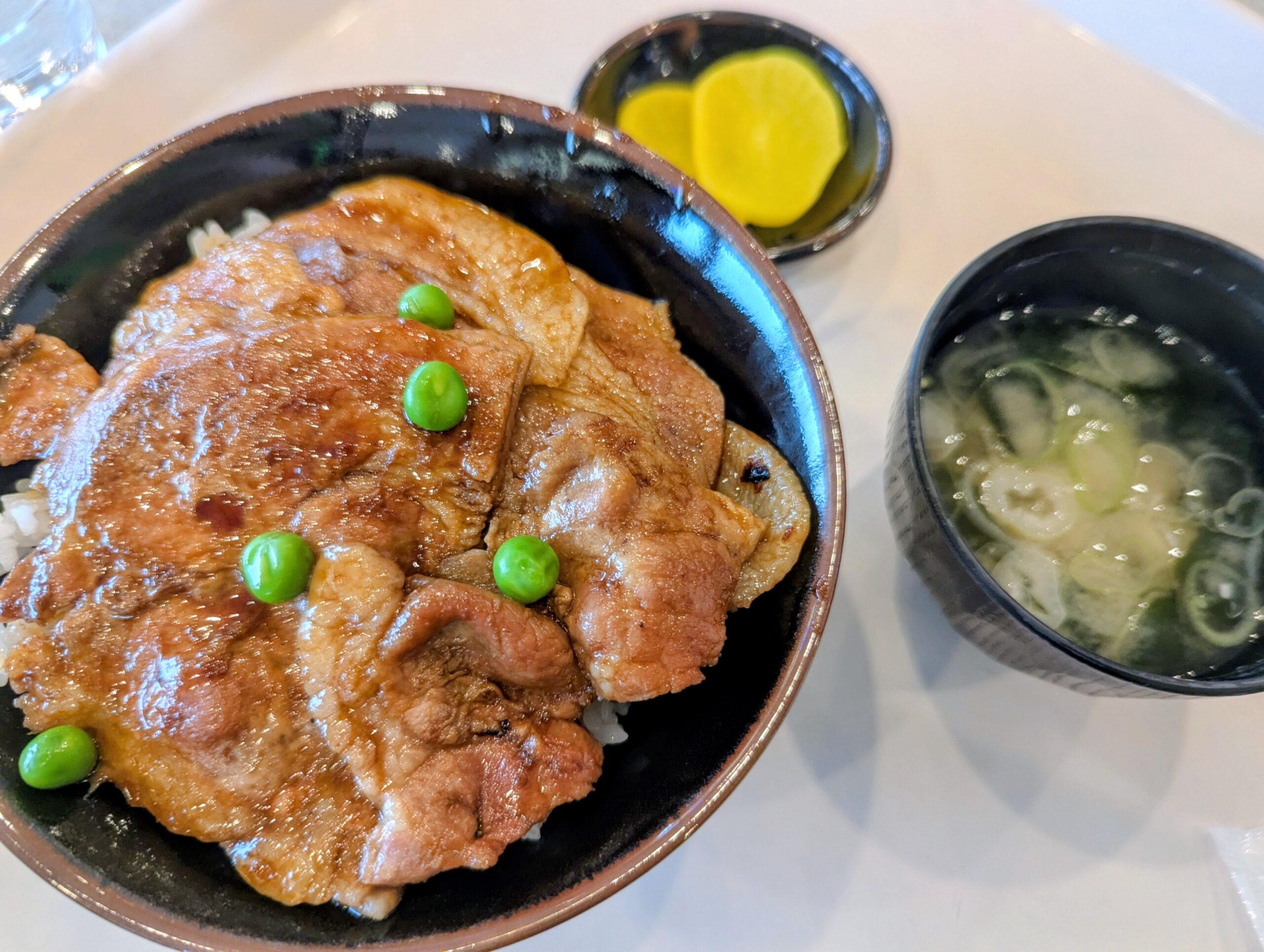 旭山動物園で食べた豚丼